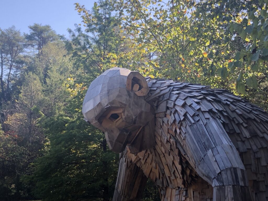 Forest Giant Little Nis at Bernheim Forest. Photo by Peter Brackney. 